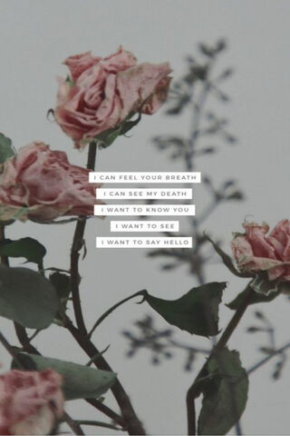 Whispers of Withered Beauty 🌹