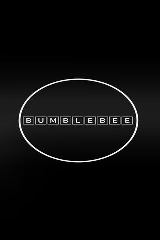 Buzzing into Action: The Bumblebee Experience 🐝✨