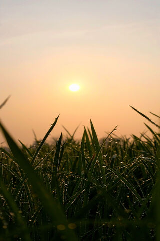 Coraline's Dreamy Dawn 🌅✨