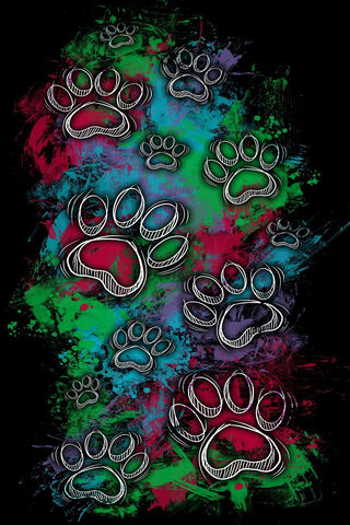 Paw-sitive Vibes: A Colorful Journey