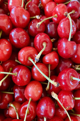 Sweet Summer Bliss: A Cherry Delight 🍒