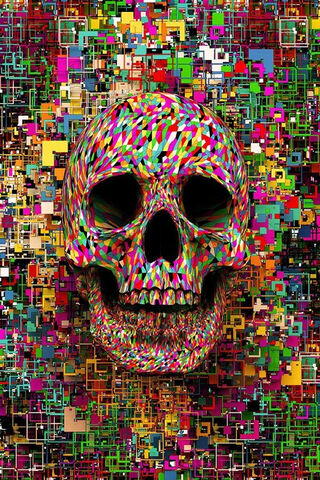 Colourfull Skull