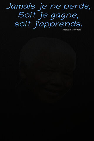 Wisdom in Shadows: The Legacy of Learning