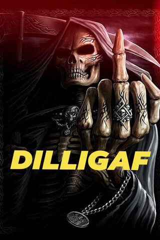 Embrace the Bold: DILLIGAF