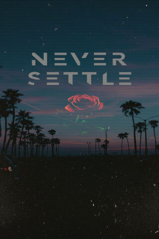 Chasing Dreams Under the Palm Trees 🌴✨