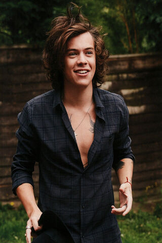 Harry Styles: The Charismatic Star of 2014 🌟