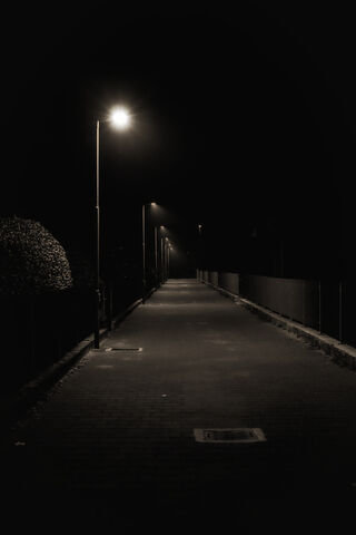 Whispers of the Night 🌙