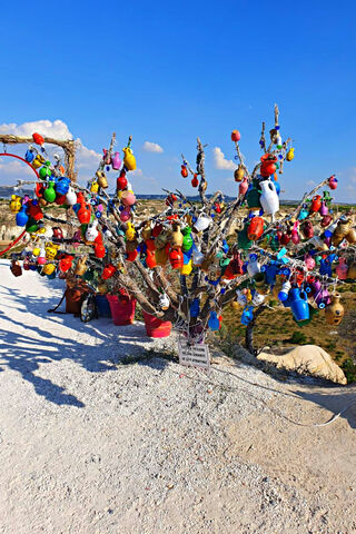 Wishing Tree of Kapadokya 🌈✨