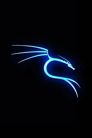 Kali Linux (neon)