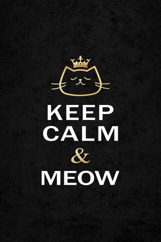 Stay Pawsitive and Chill! 🐾