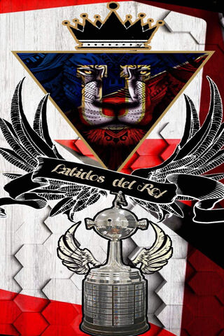 The Spirit of Liga de Quito: Champions of Ecuador ⚽🏆