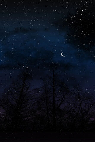 Noche: A Starry Serenade 🌙✨