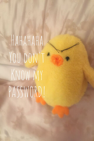 The Secret Keeper Chick 🐥🔒