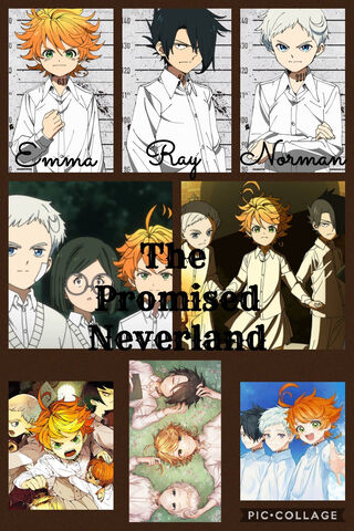 Escape from the Shadows: The Promised Neverland