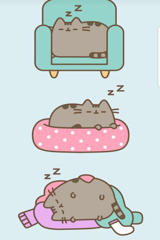 Cozy Cat Naps 💤🐾