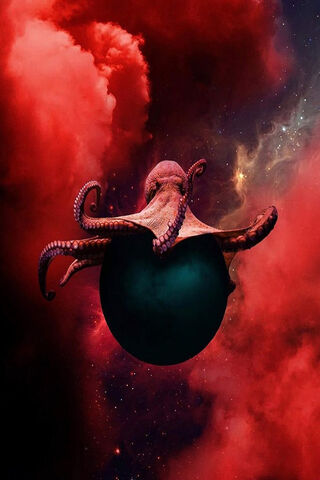 Red Octopus