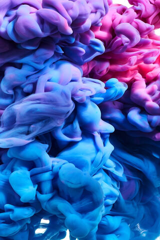 Whispers of Color: The ..
