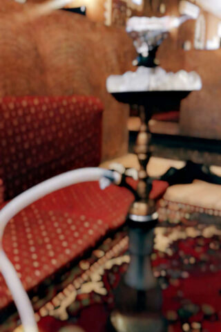 Shesha: The Art of Relaxation