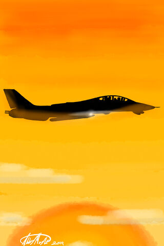 Soaring into the Sunset: A Top Gun Tribute ✈️🌅