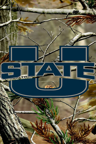 Utah State Camo: Nature Meets School Spirit 🌲🎓