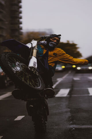 Wheelie Wonder: A Thrilling Ride! 🏍️✨