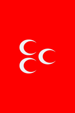 3 Hilal Bayrağı ülkücü