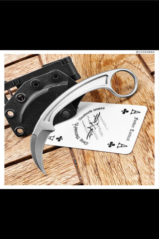 Ace of Blades: The Ultimate Companion