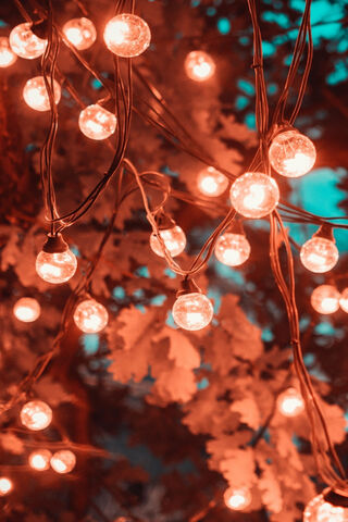Twinkling Dreams: A Dance of Light