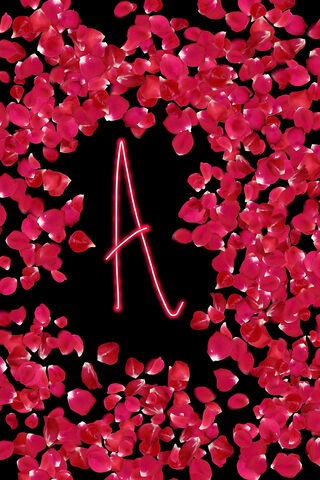 Petals of Mystery: The Letter A 🌹✨