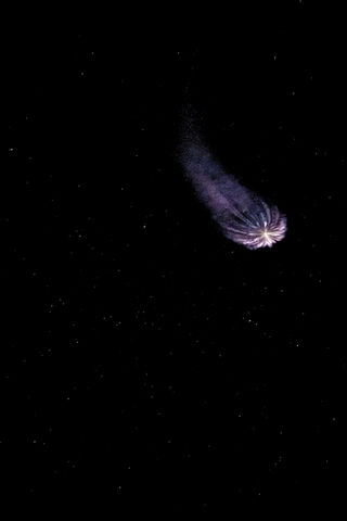 Cosmic Wanderer: The Asteroid's Journey 🌌✨