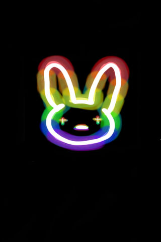 Rainbow Bunny Vibes 🌈🐰