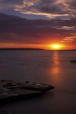 Apus: The Celestial Sunset