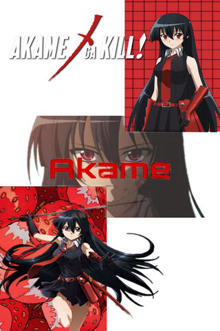 Akame: The Silent Blade of Justice ⚔️✨