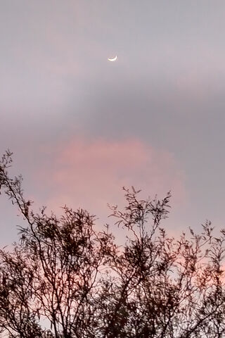 Whispers of Twilight 🌅🌙