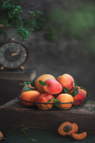 Sweet Summer Delight: A Basket of Apricots 🍑✨