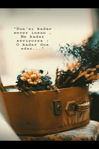 The Power of Prayer 🌼✨