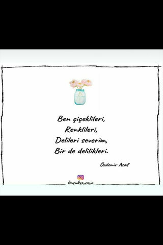 Whimsical Blossoms: A Celebration of Color and Quirk 🌸✨