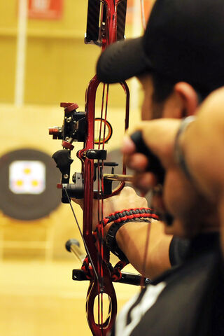 Precision in Motion: The Art of Archery 🎯🏹