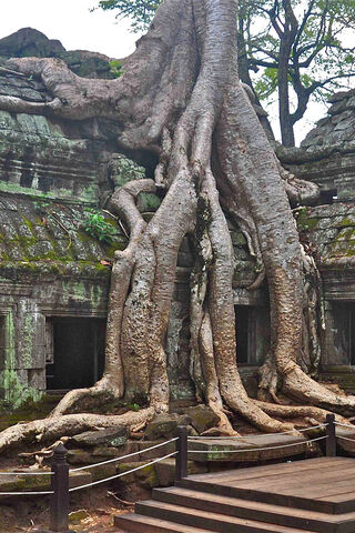 Angkor