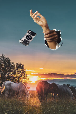 Capturing Freedom: A Glimpse Beyond