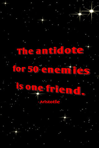 Wisdom in Friendship: Aristotle's Insight