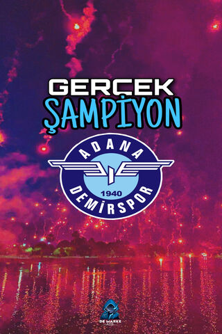 Celebrating Adana Demirspor: A True Champion! 🎉⚽