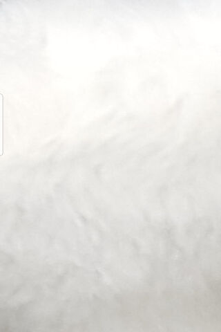 Whispers of Blanc: A Canvas of Serenity