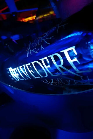 Belvedere Bliss: A Night to Remember 🌌🍸