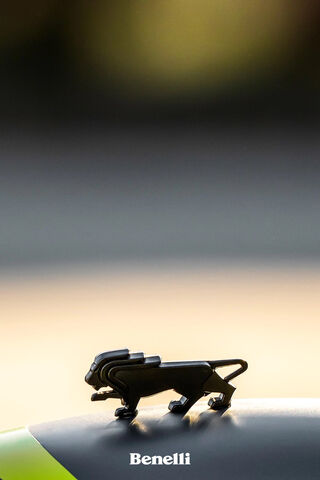 The Roaring Spirit of the Benelli Leoncino 251 🦁