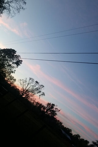 Serene Twilight: A Canvas of Blue Skies 🌅