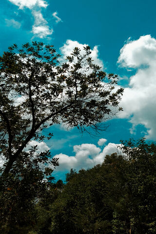 Serenity Under the Blue Sky 🌤️