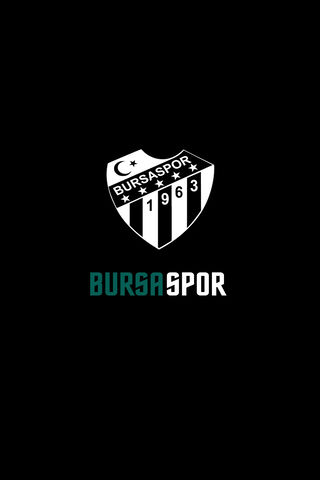 Bursaspor: The Heart of Bursa ⚽️💚