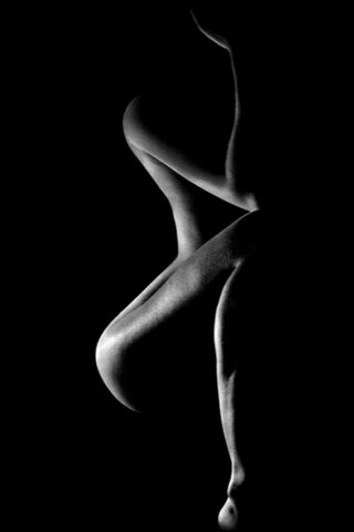 Elegance in Shadows: The Art of Curves
