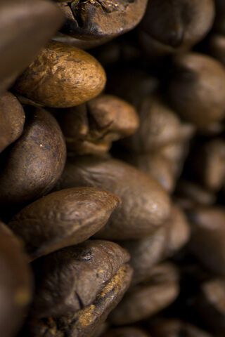 Coffee Beans